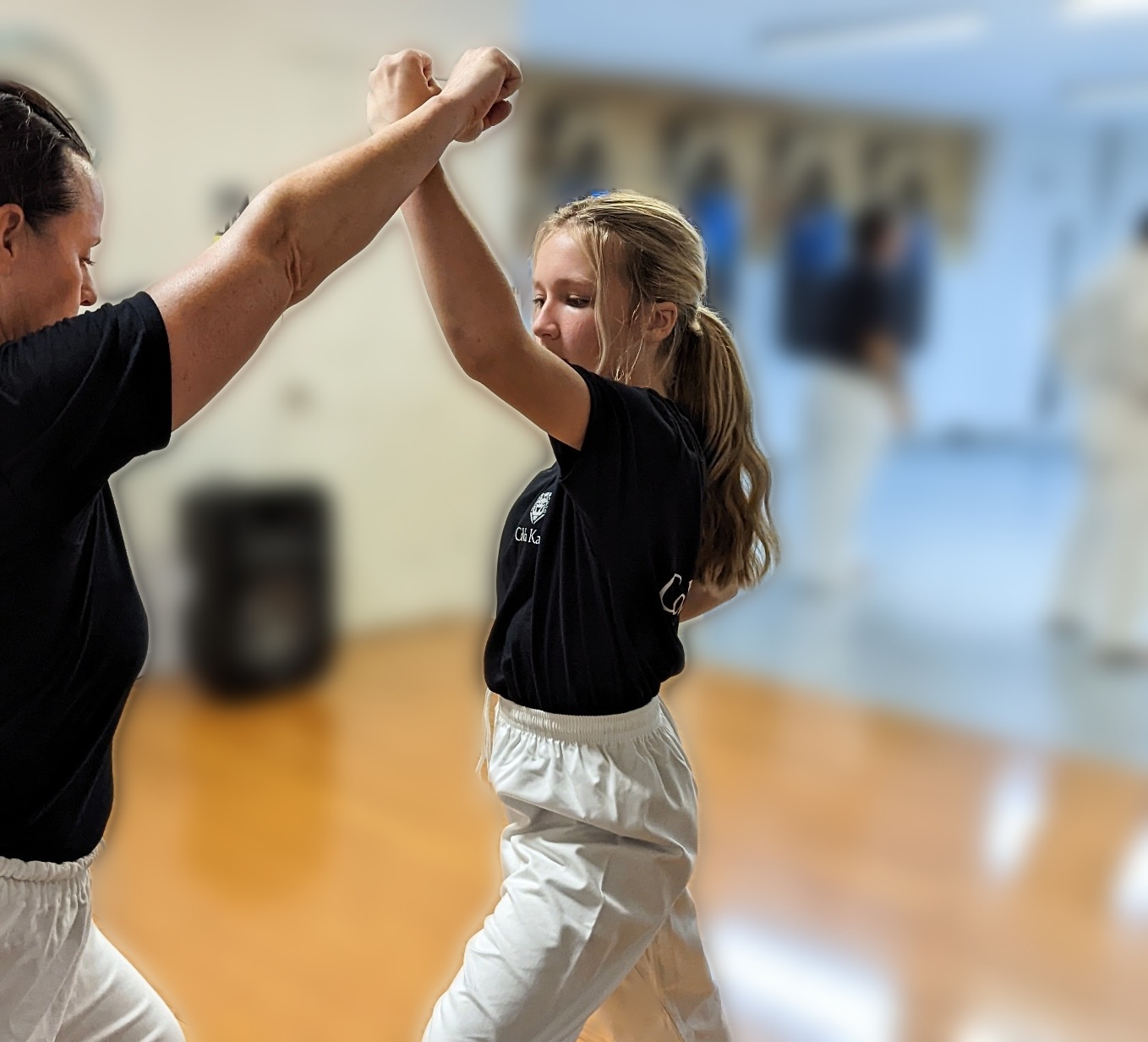 Martial Arts Virginia Beach Kids Teens Adult Class